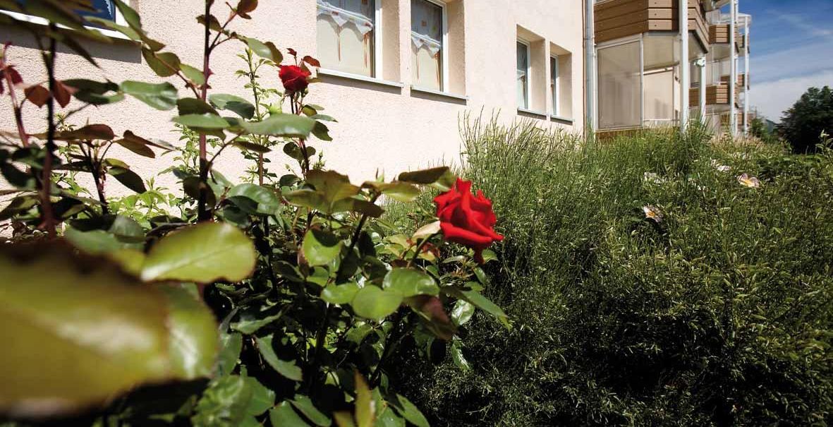 Ansicht Angebot Wohnungsangebot Kirschweg 87