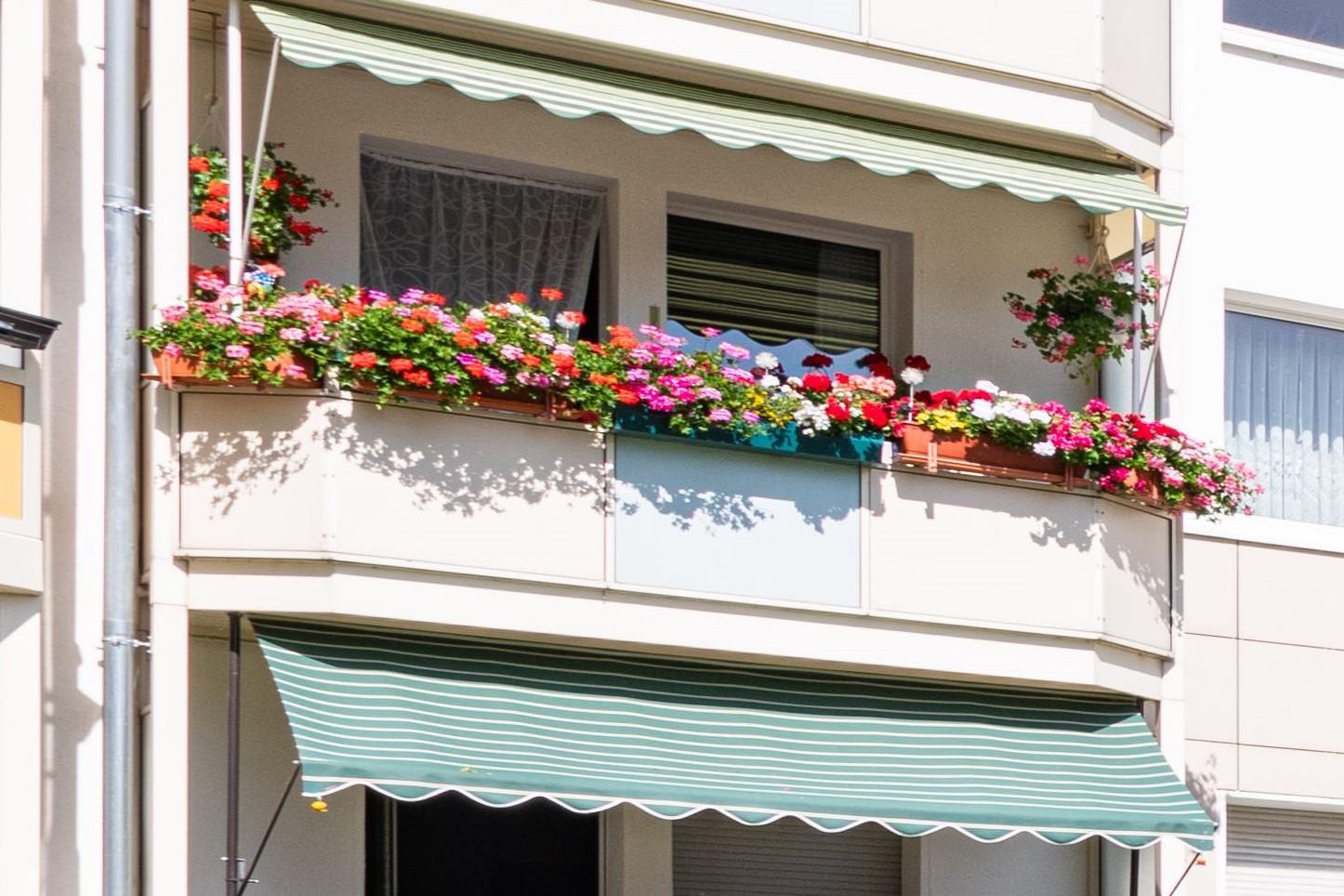 Hintergrundbild Angebot Wohnungsangebot Weitlingstraße 29