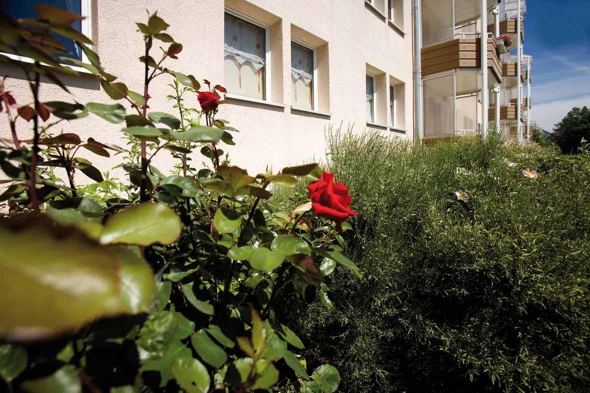 Hintergrundbild Angebot Wohnungsangebot Kirschweg 81