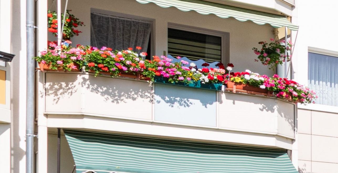 Ansicht Angebot City Wohnung ab Oktober!